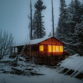 Shivay Homestay